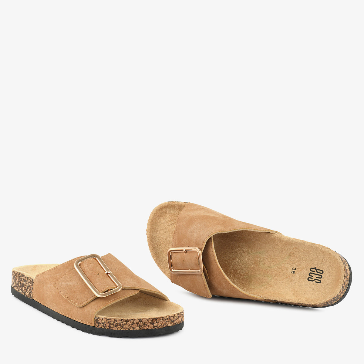 Camel