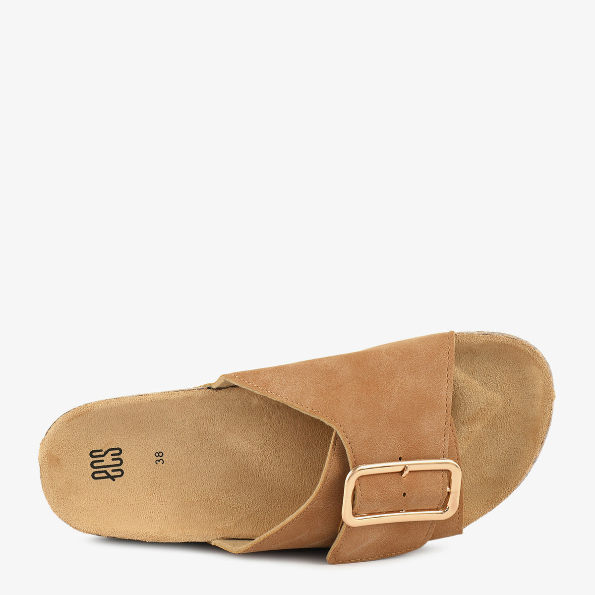 Camel