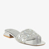 Silver swatch