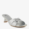 Silver swatch