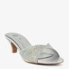 Silver swatch