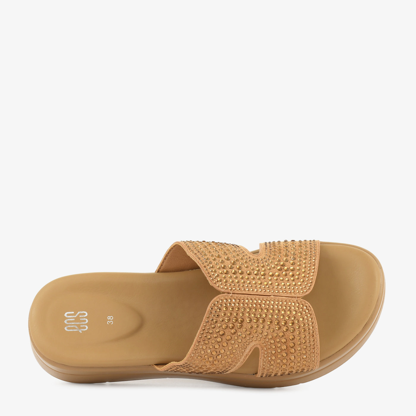 Camel
