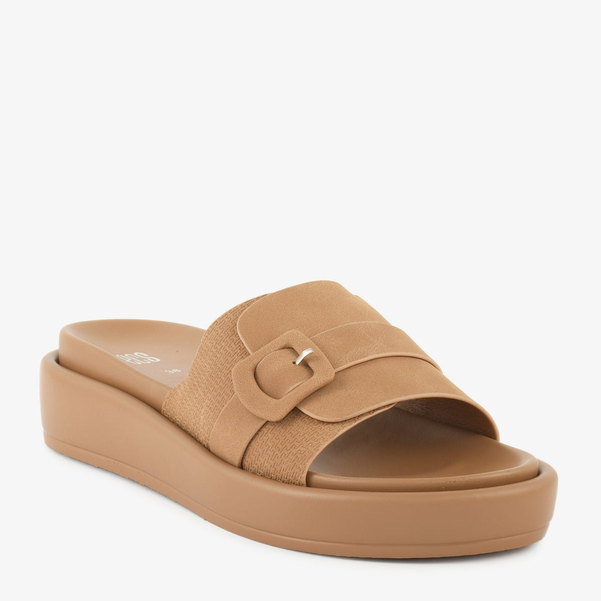 Camel