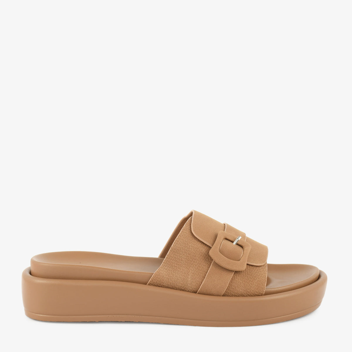 Camel