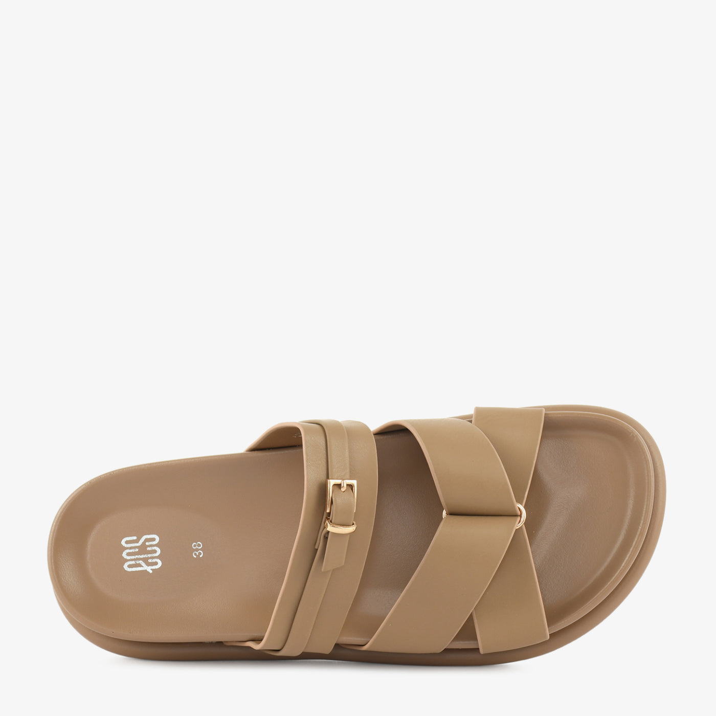 Camel