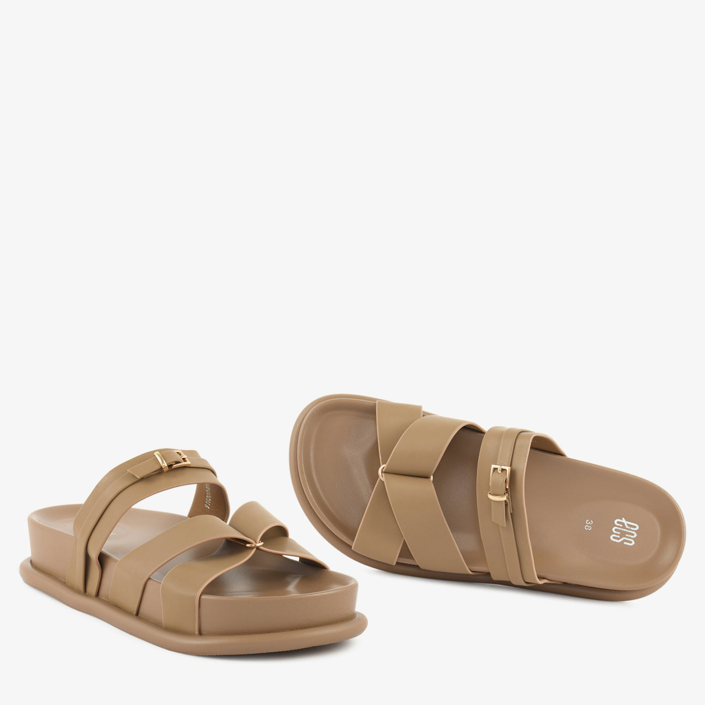 Camel