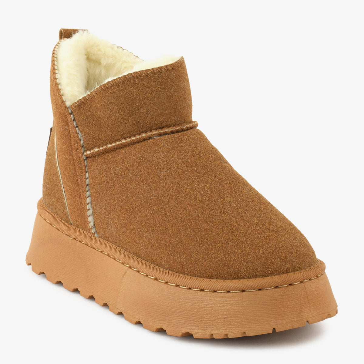 Camel