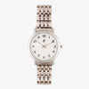 Silver swatch