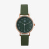 Green swatch