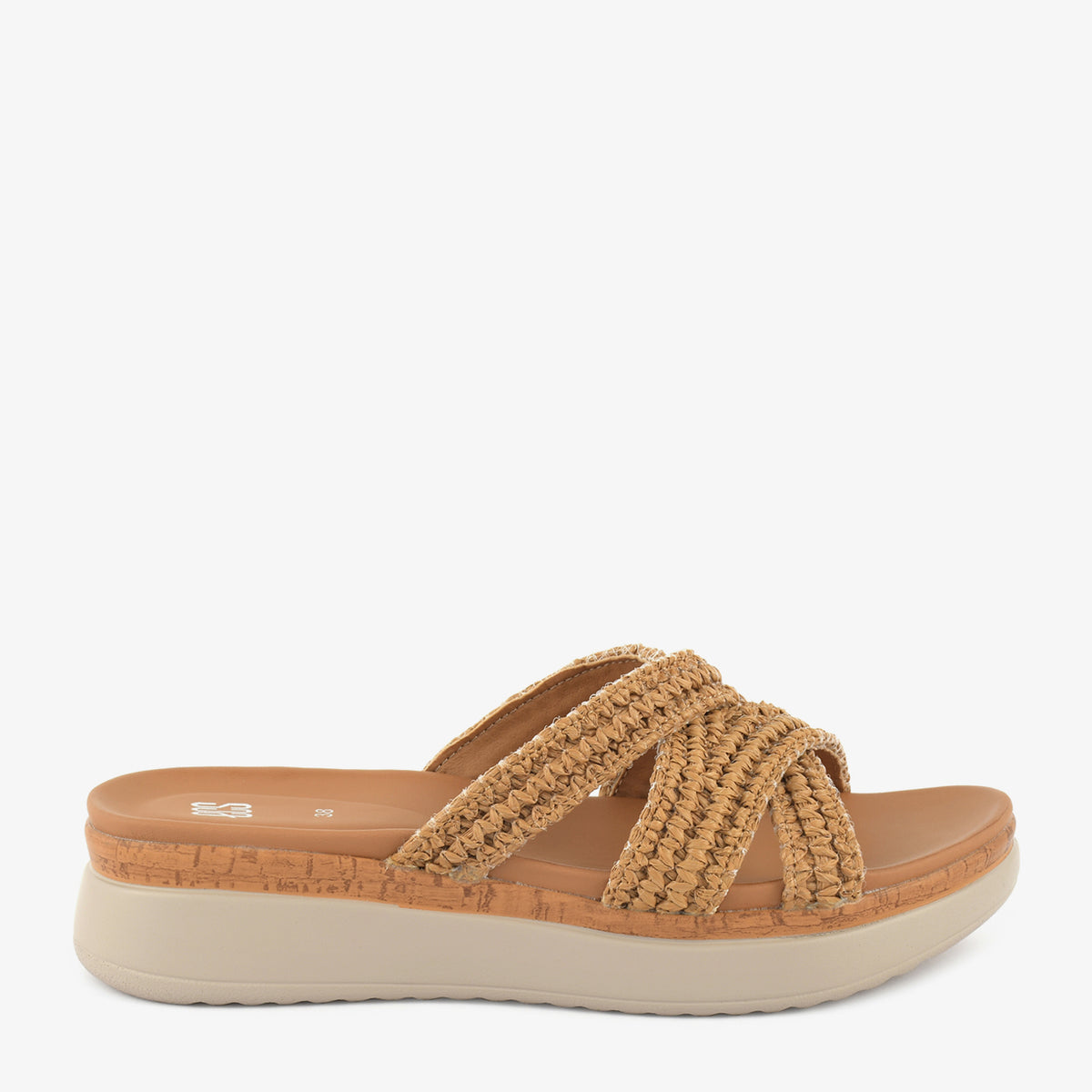 Camel