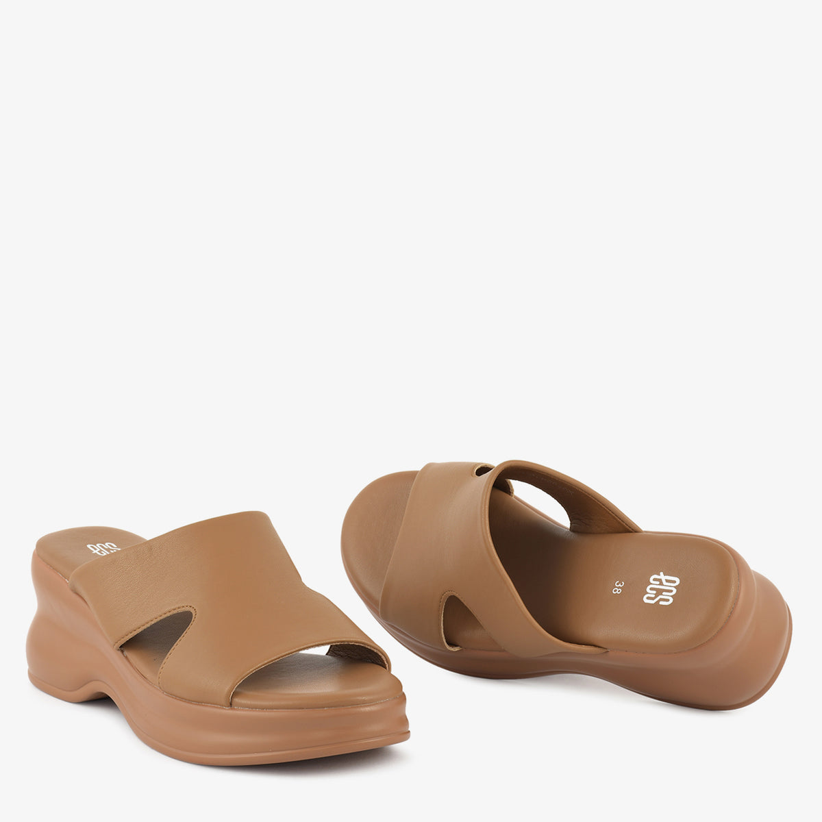 Camel