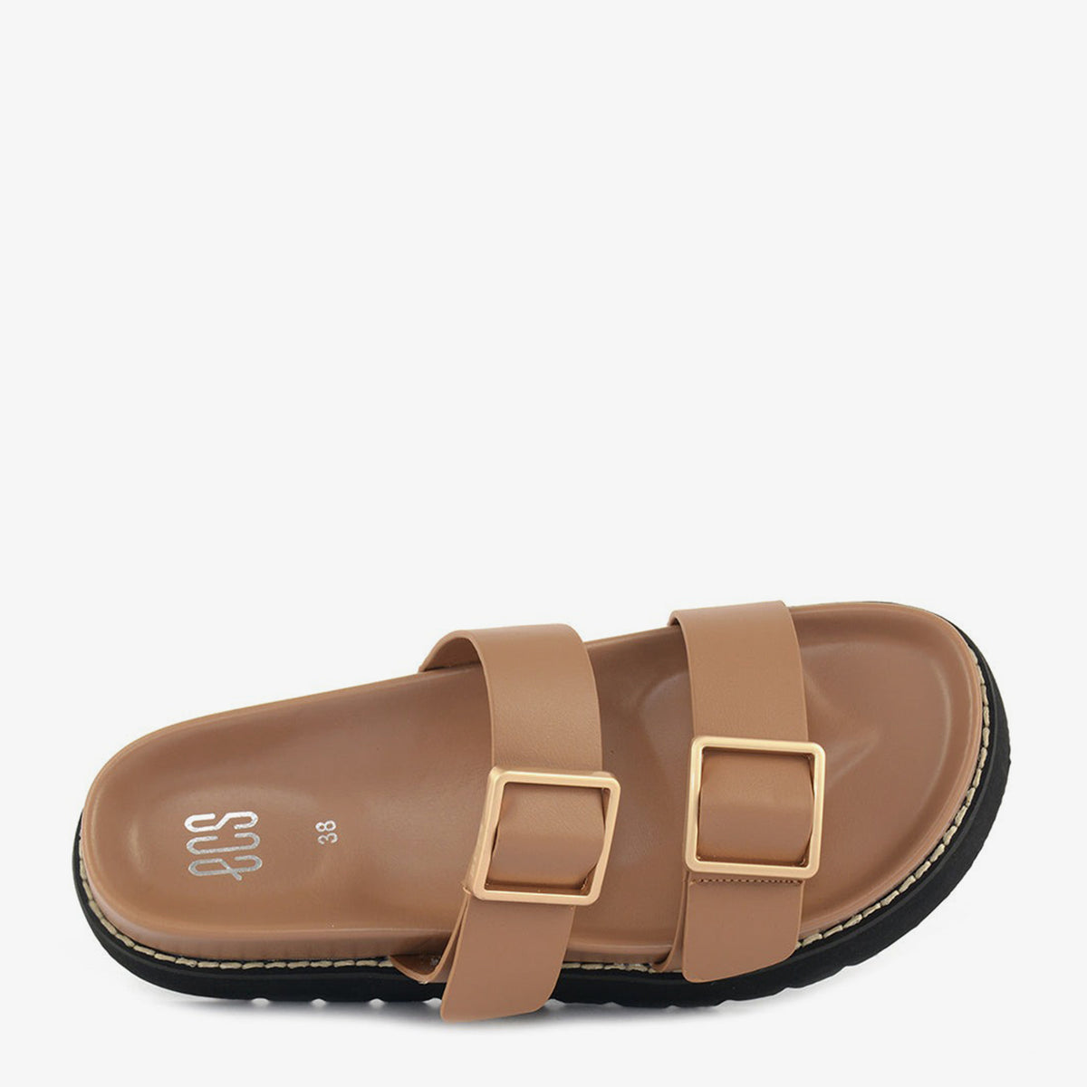 Camel