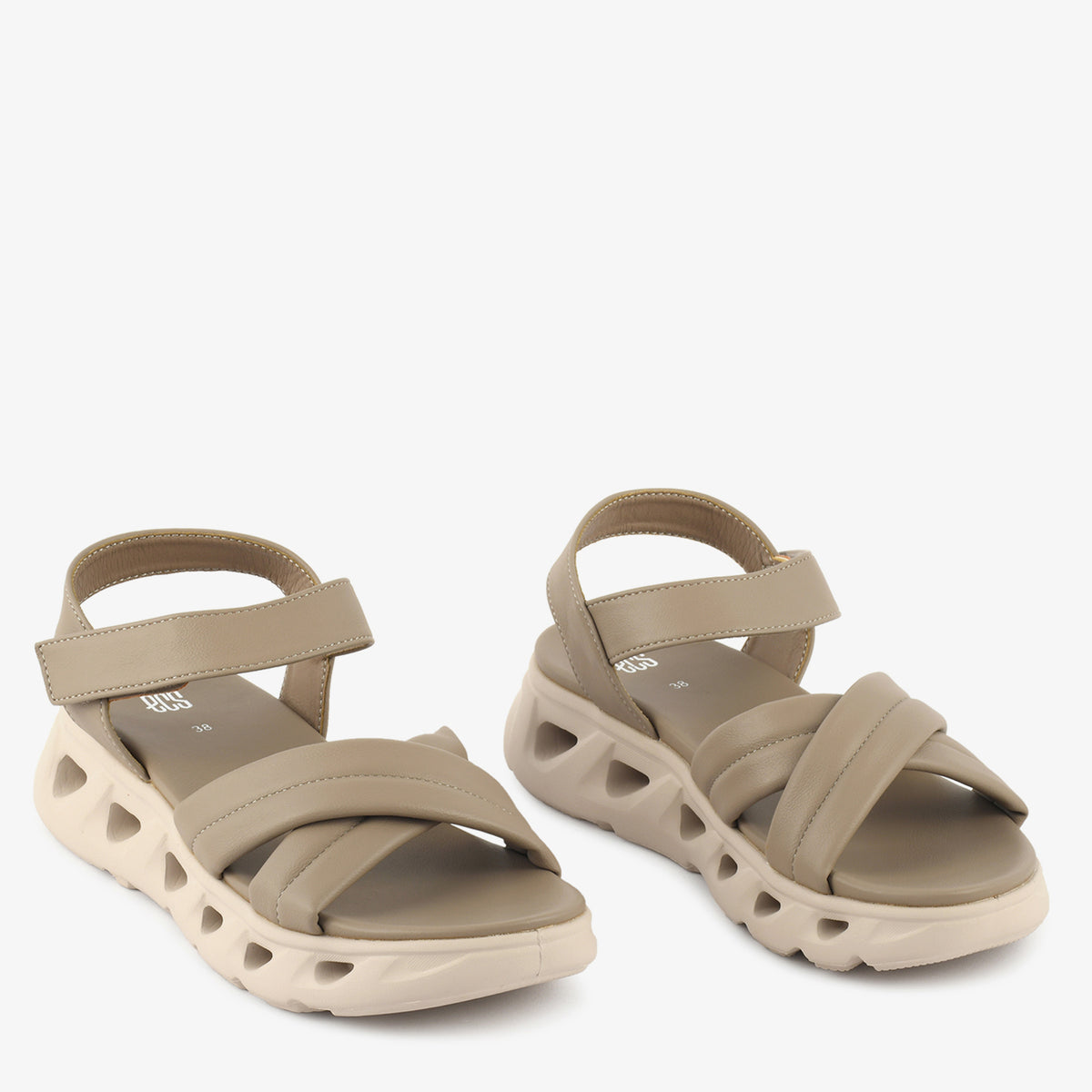 Light Brown