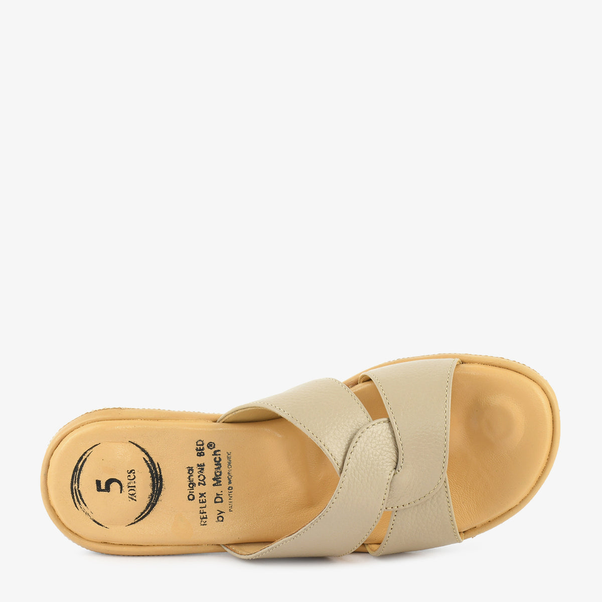 Camel