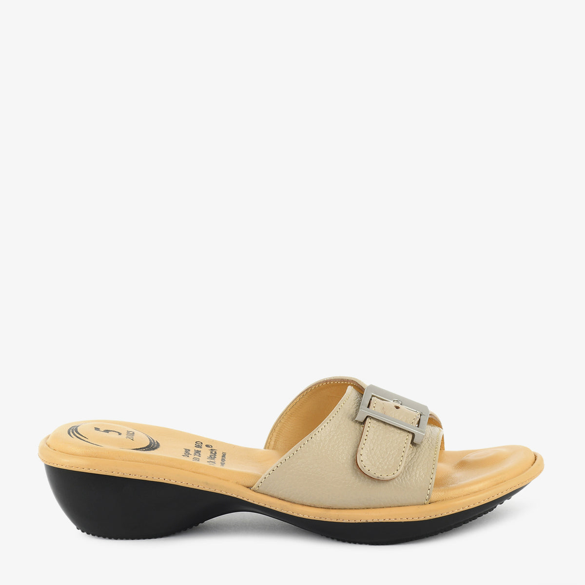 Camel