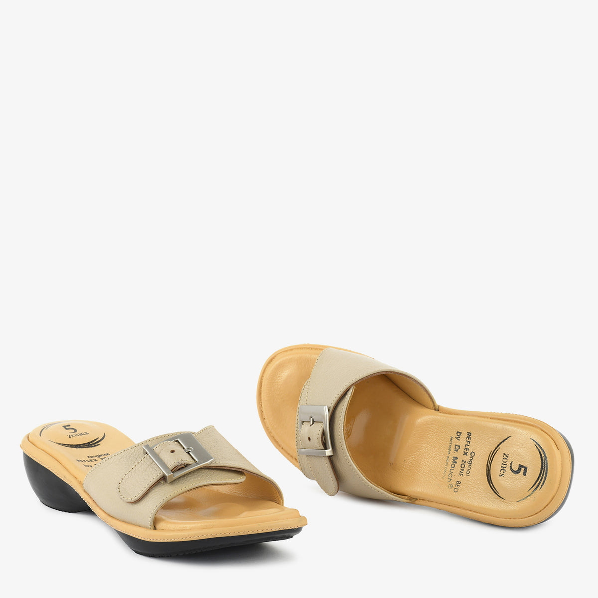 Camel