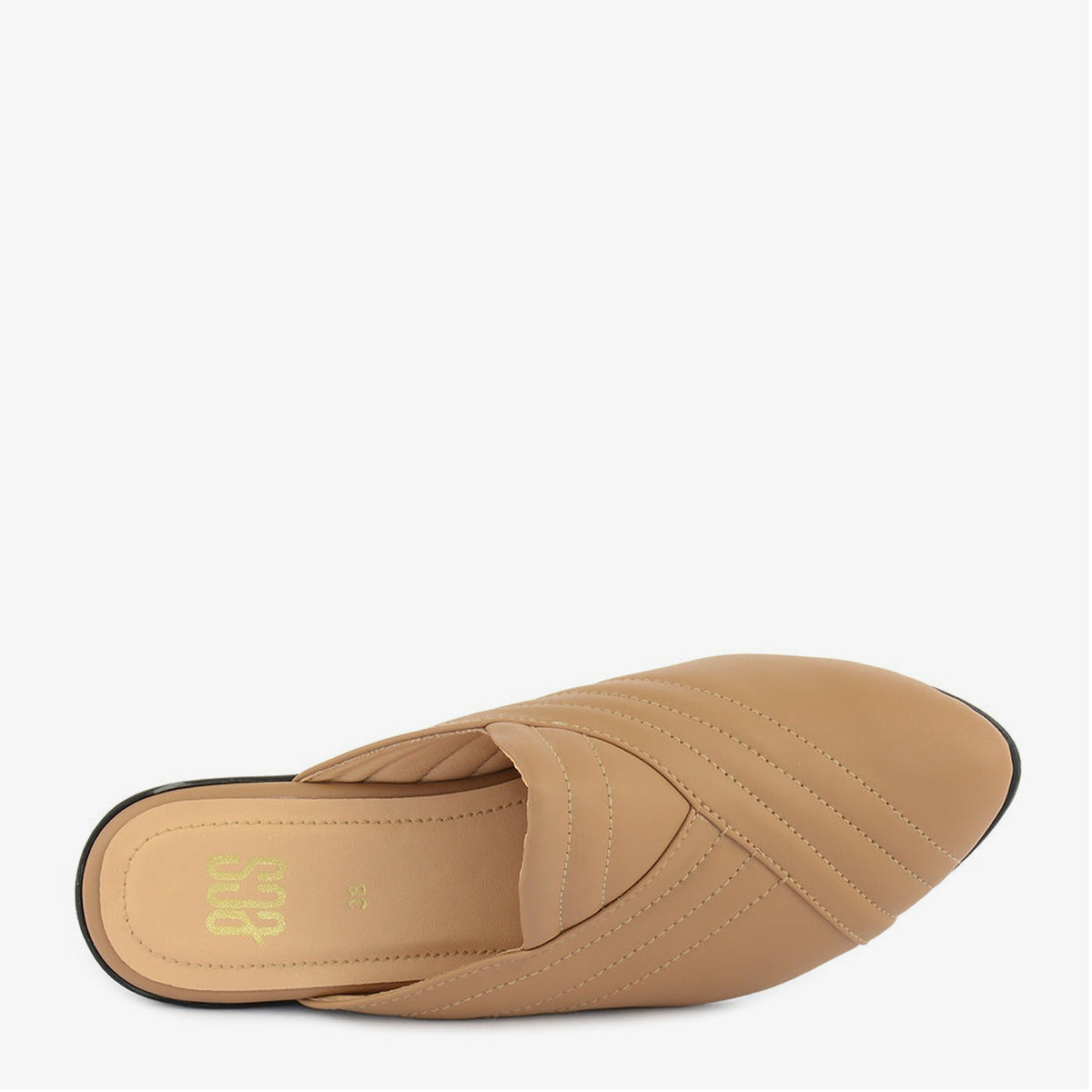 Camel