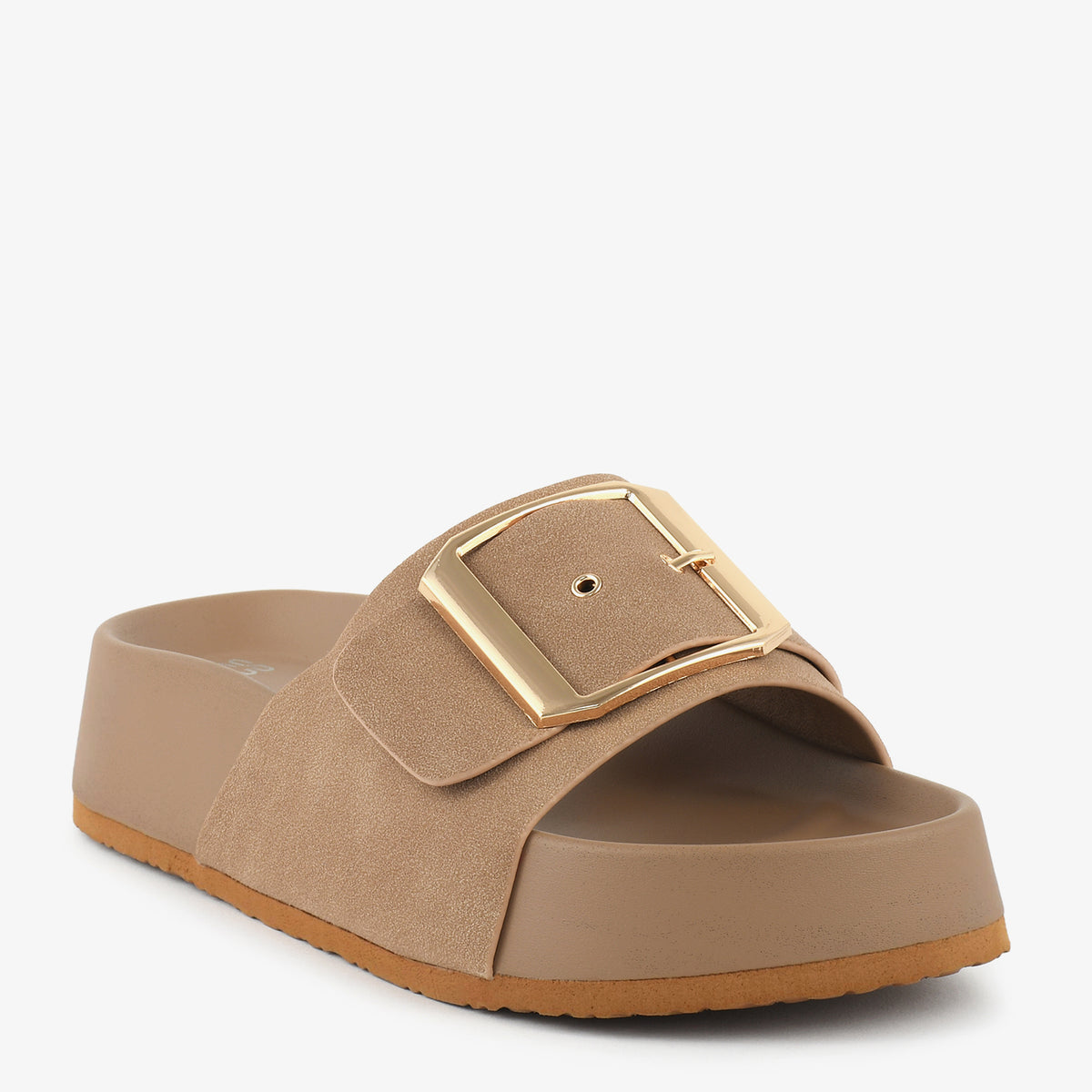 Camel