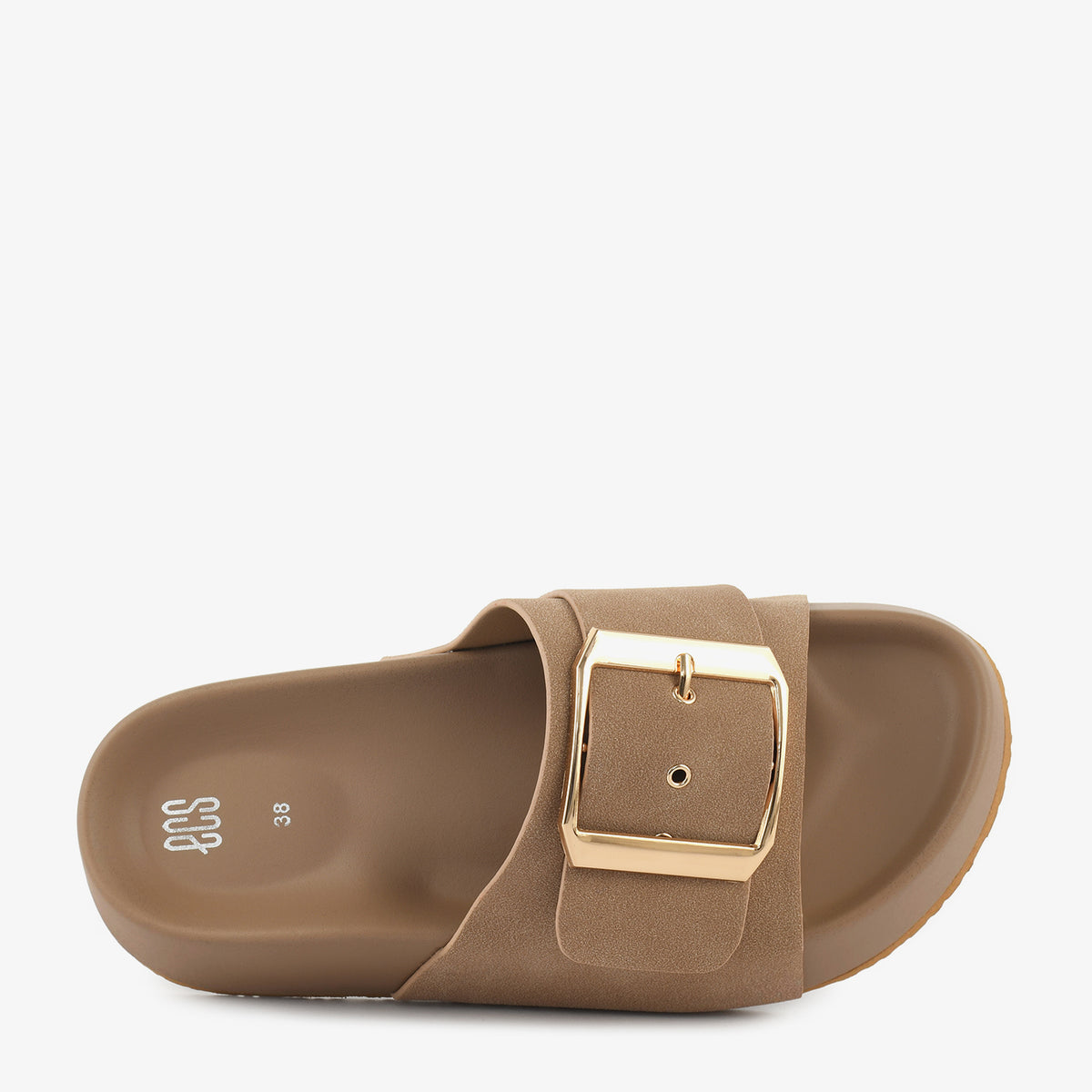 Camel