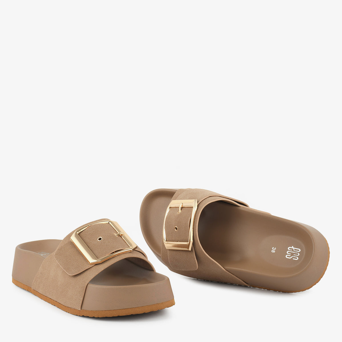 Camel