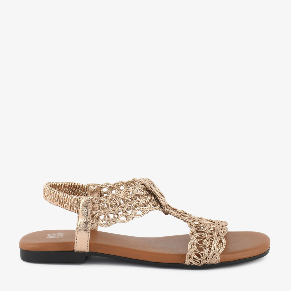 Champagne