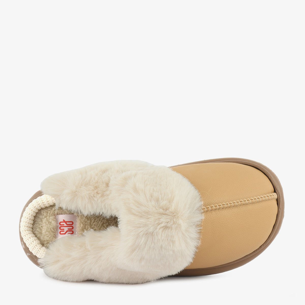 Camel